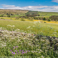 Buy canvas prints of Over to Snaisgill from Aukside in Summer by Richard Laidler