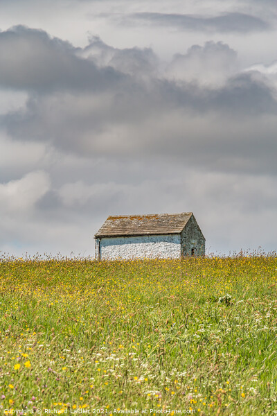 Barn in a Hay Meadow Picture Board by Richard Laidler