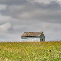 Buy canvas prints of Barn in a Hay Meadow by Richard Laidler