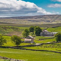 Buy canvas prints of Sleightholme Farm on the Pennine Way by Richard Laidler