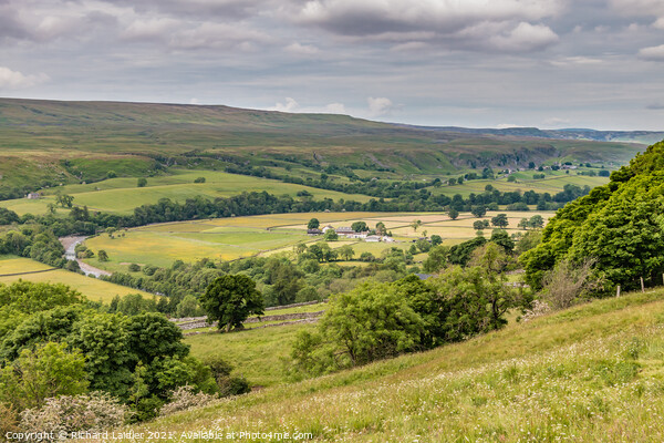Teesdale Summer Meadows Picture Board by Richard Laidler