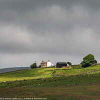 Buy canvas prints of Green Hills Farm, Harwood, Teesdale  by Richard Laidler