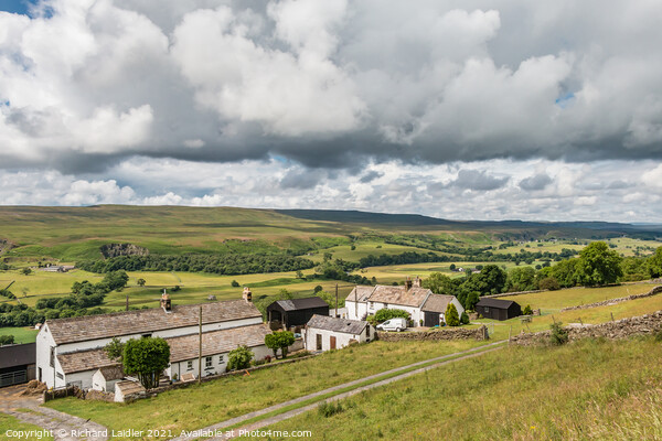 Two Teesdale Farms Picture Board by Richard Laidler