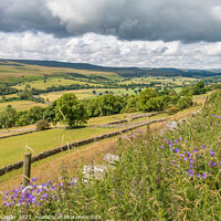 Buy canvas prints of Towards Holwick from Middle Side, Teesdale by Richard Laidler