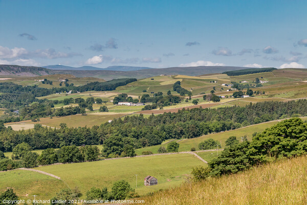 Across to Ettersgill from Stable Edge, Teesdale in Summer Picture Board by Richard Laidler