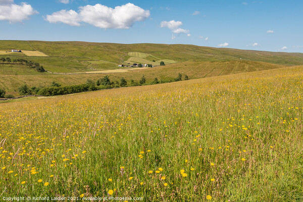 Harwood Hay Meadow  Picture Board by Richard Laidler