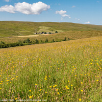 Buy canvas prints of Harwood Hay Meadow  by Richard Laidler