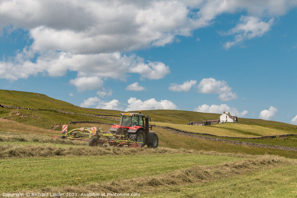 Haymaking at Binks House, Teesdale (2) Picture Board by Richard Laidler
