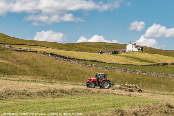Haymaking at Binks House, Teesdale (1) Picture Board by Richard Laidler
