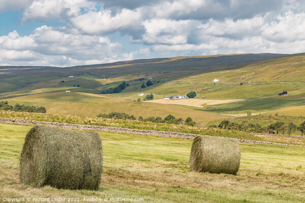 Harwood, Teesdale Haytime (2) Picture Board by Richard Laidler