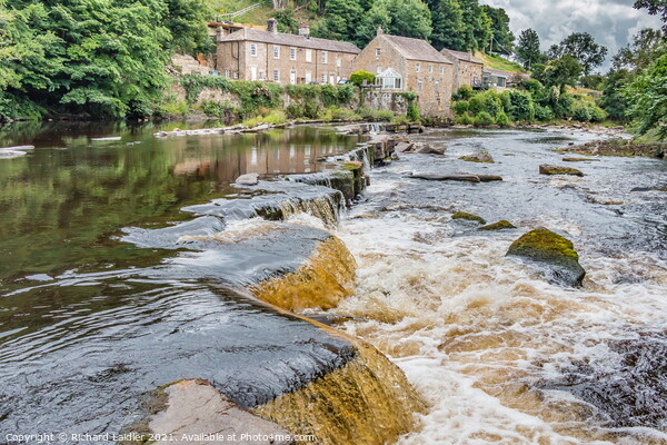 Demesnes Mill and River Tees, Barnard Castle Picture Board by Richard Laidler