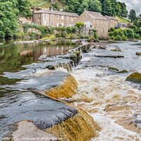 Buy canvas prints of Demesnes Mill and River Tees, Barnard Castle by Richard Laidler
