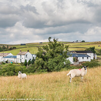 Buy canvas prints of Bank Top Farm, Ettersgill, Teesdale by Richard Laidler
