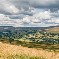 Buy canvas prints of Newbiggin Teesdale from the Pennine Way by Richard Laidler