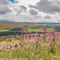 Buy canvas prints of A Shower Arrives at Stable Edge, Teesdale by Richard Laidler