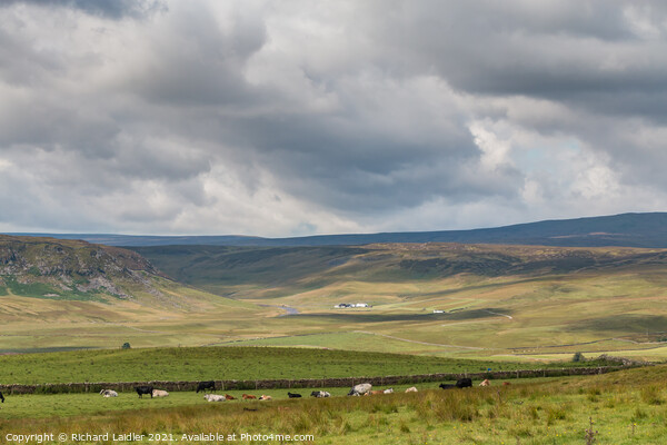 Towards Cronkley and Widdybank, Teesdale (1) Picture Board by Richard Laidler