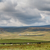 Buy canvas prints of Towards Cronkley and Widdybank, Teesdale (1) by Richard Laidler