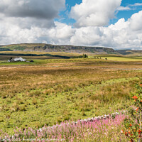 Buy canvas prints of Cronkley Scar from Hanging Shaw, Teesdale by Richard Laidler