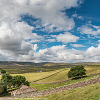 Buy canvas prints of Upper Teesdale from near Bail Hill Farm by Richard Laidler