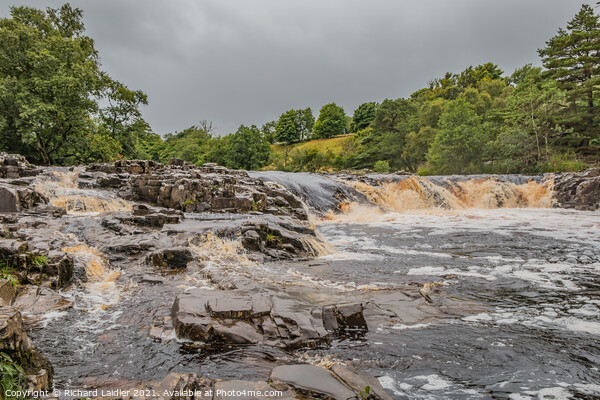 River Tees at Low Force, Teesdale in Late Summer Picture Board by Richard Laidler