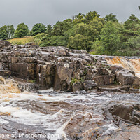 Buy canvas prints of River Tees at Low Force, Teesdale, in late summer, Panorama by Richard Laidler