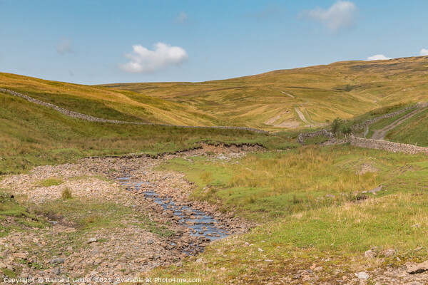 Spitley Tongue, Harwood, Upper Teesdale Picture Board by Richard Laidler