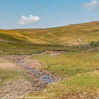 Buy canvas prints of Spitley Tongue, Harwood, Upper Teesdale by Richard Laidler