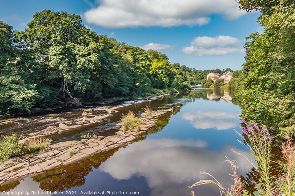 Summer on the Tees at Barnard Castle Picture Board by Richard Laidler
