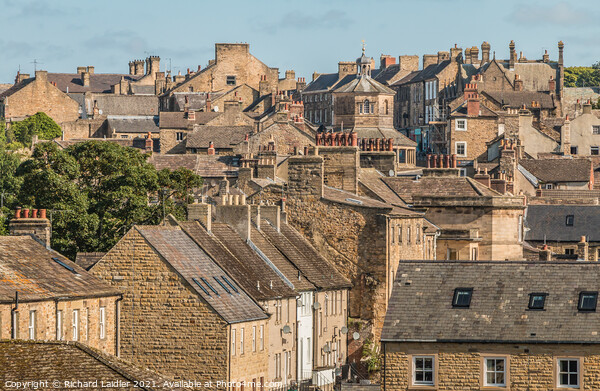 Barnard Castle Rooftops Picture Board by Richard Laidler