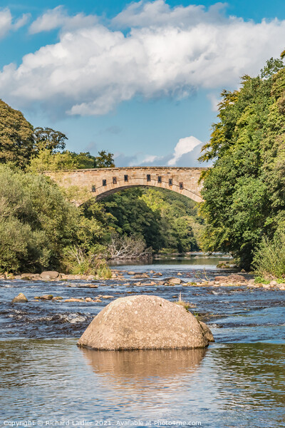 Winston Bridge Teesdale (2) Picture Board by Richard Laidler