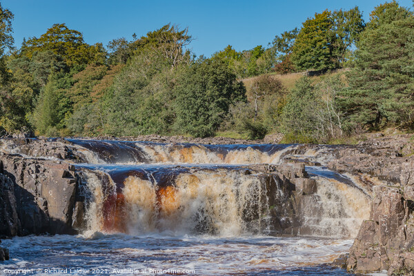 Low Force Waterfall, Teesdale in October Sunshine Picture Board by Richard Laidler