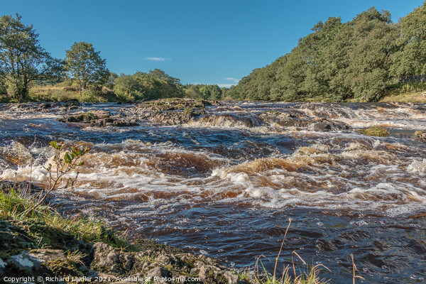 River Tees above Low Force Picture Board by Richard Laidler