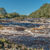 Buy canvas prints of River Tees above Low Force by Richard Laidler