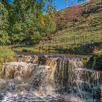 Buy canvas prints of Ettersgill Waterfall in Autumn Sun by Richard Laidler