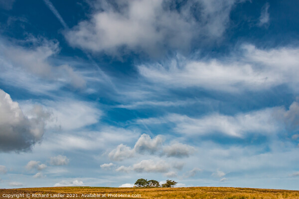 Big Sky over Scarney Hill, Romaldkirk Moor, Teesdale Picture Board by Richard Laidler