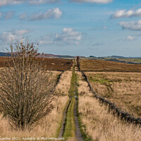 Buy canvas prints of Botany Road, Teesdale by Richard Laidler