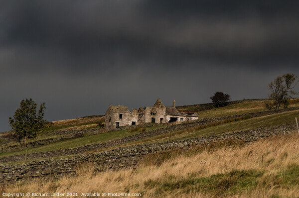 The abandoned and derelict High Stonygill Farm, Teesdale Picture Board by Richard Laidler