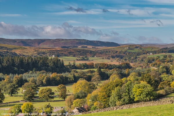 Teesdale in Autumn - Newbiggin to Cronkley Scar Picture Board by Richard Laidler