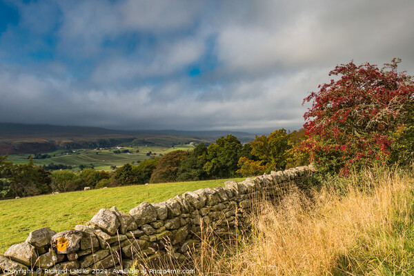 Autumn Sunburst in Upper Teesdale Picture Board by Richard Laidler