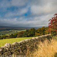 Buy canvas prints of Autumn Sunburst in Upper Teesdale by Richard Laidler