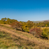 Buy canvas prints of Autumn on the Pennine Way towards Newbiggin, Teesdale by Richard Laidler