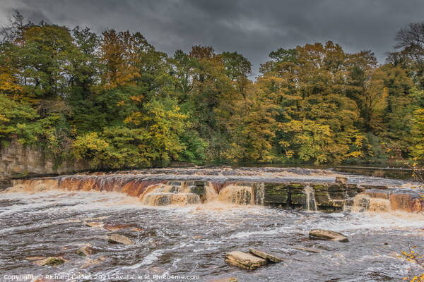 Fall at the Falls (1) Picture Board by Richard Laidler