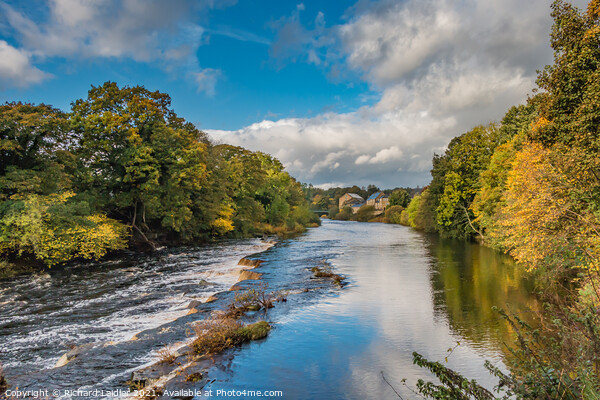 Autumn Colours and Sun on the Tees at Barnard Castle Picture Board by Richard Laidler