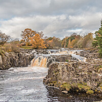 Buy canvas prints of Autumn Brightness at Low Force Waterfall, Teesdale by Richard Laidler