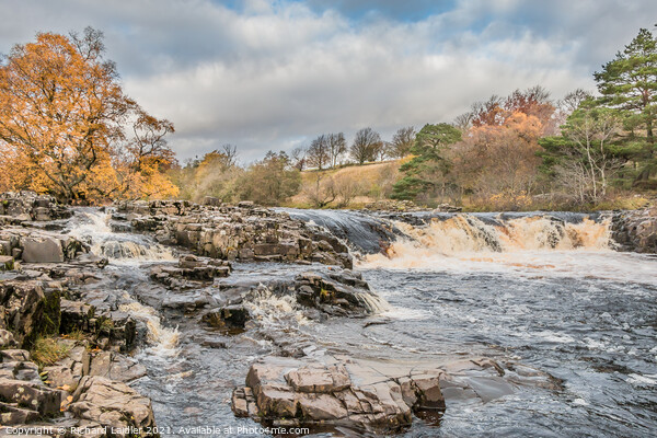 Autumn Brightness at Low Force Waterfall, Teesdale (2) Picture Board by Richard Laidler