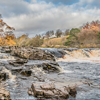 Buy canvas prints of Autumn Brightness at Low Force Waterfall, Teesdale (2) by Richard Laidler