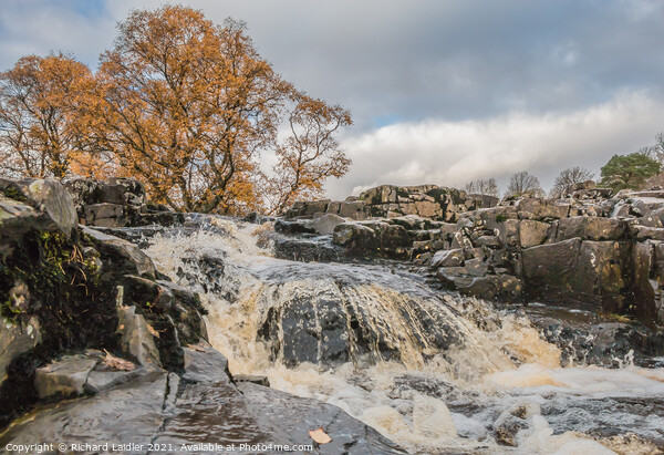 Autumn Brightness at Low Force Waterfall (3) Picture Board by Richard Laidler