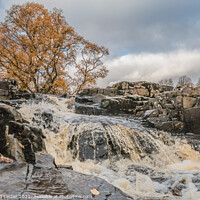 Buy canvas prints of Autumn Brightness at Low Force Waterfall (3) by Richard Laidler