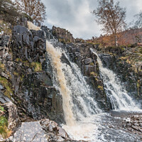 Buy canvas prints of Autumn Brightness at Blea Beck Force, Teesdale by Richard Laidler