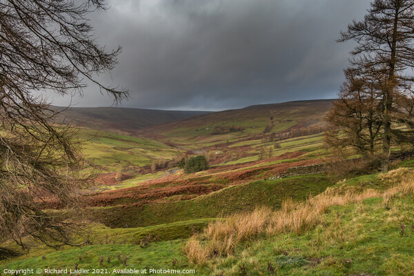 Autumn Bright Interval in the Hudeshope, Teesdale (1) Picture Board by Richard Laidler